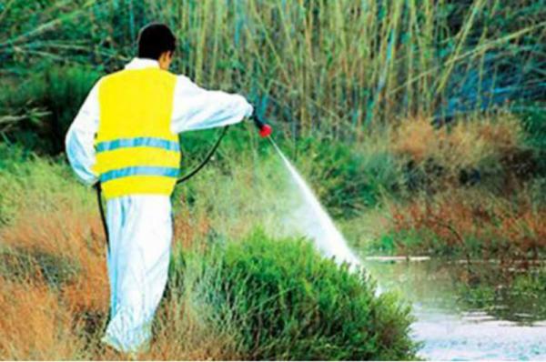 Γ. Πατούλης:  Διευρύνουμε και ενισχύουμε με επιπλέον δράσεις το πρόγραμμα καταπολέμησης των κουνουπιών