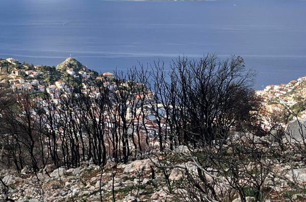 ΑΝΑΔΑΣΩΣΗ   μια "ξεχασμένη" πρωτοβουλία για την Ύδρα