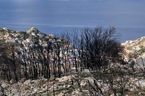 ΑΝΑΔΑΣΩΣΗ   μια "ξεχασμένη" πρωτοβουλία για την Ύδρα