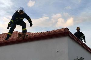 Διάσωση γάτας  από το Εθελοντικό Πυροσβεστικό Κλιμάκιο Ύδρας