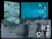 Το R.I.C.E και η μεγάλη επιτυχία στην Ύδρα