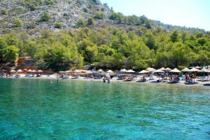 Σε δημόσια ηλεκτρονική διαβούλευση το σχέδιο νόμου για τις παραλίες