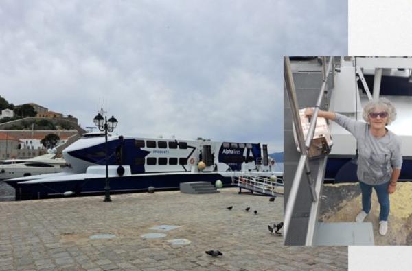 Δωρεάν μεταφορά  με την Alpha Lines για ασυνόδευτα αδέσποτα ζώα που χρήζουν περίθαλψης