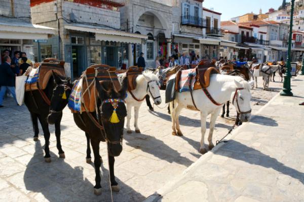 Σκίαστρα για την προστασία των ιπποειδών θα τοποθετηθούν στο λιμάνι της Ύδρας