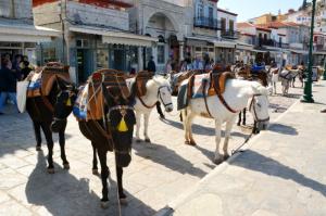 Σκίαστρα για την προστασία των ιπποειδών θα τοποθετηθούν στο λιμάνι της Ύδρας