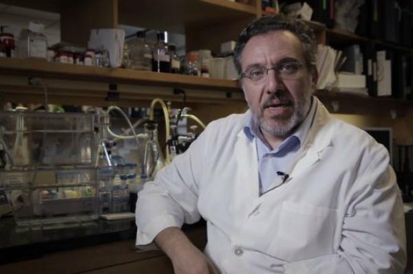 Έλληνας επιστήμονας  στο Χάρβαρντ: Να χαρτογραφήσουμε άμεσα τον πληθυσμό με ευρείας κλίμακας τεστ αντισωμάτων