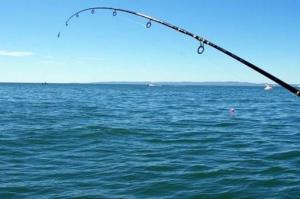 Nέα μέτρα  για τον κορωνοϊό: Τι αλλάζει σε κυνήγι και ψάρεμα