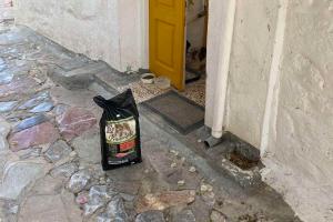 Το φιλοζωικό σωματείο &quot;Υδραϊκή Κιβωτός&quot; ευχαριστεί τους πολίτες που γεμίζουν με «αγάπη» το κουτί των δωρεών για τις γάτες