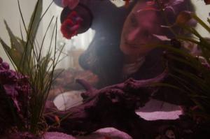 Η Ανθή Δαουτάκη στο Διεθνές Διαγωνιστικό Πρόγραμμα του 43oυ Φεστιβάλ Ταινιών Μικρού Μήκους Δράμας