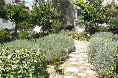 Καλλωπισμός των δημοτικών κήπων στην Πλατεία Βότση και τους 5 Υδραίους Πρωθυπουργούς