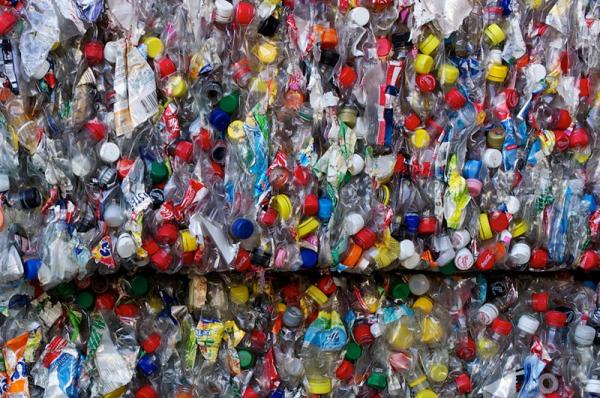 WWF: Ποια προϊόντα  ανακυκλώνονται και ποια όχι;