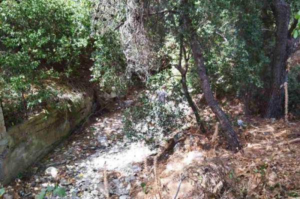 Συνεχίζονται   σε καθημερινή βάση και με εντατικούς ρυθμούς οι καθαρισμοί ρεμάτων σε όλο το εύρος της Περιφέρειας Αττικής