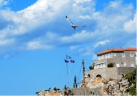 Σταυρόλεξο Ζωής