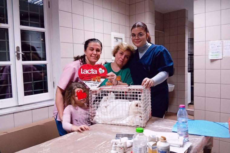 Δήμος Ύδρας:  Ολοκληρώθηκε με επιτυχία το πρόγραμμα δωρεάν στειρώσεων και φροντίδας αδέσποτων γατών