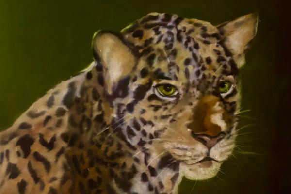 Έκθεση   της εικαστικού Όλγας Καραδήμου με τίτλο "Sauvage" («Άγριος») στο Ιστορικό Αρχείο Μουσείο Ύδρας