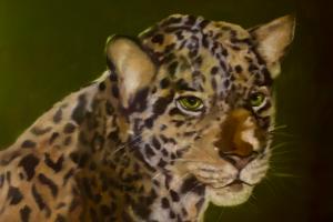 Έκθεση   της εικαστικού Όλγας Καραδήμου με τίτλο "Sauvage" («Άγριος») στο Ιστορικό Αρχείο Μουσείο Ύδρας