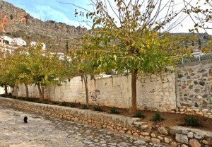 Σε καλλωπισμό του εξωτερικού χώρου του γηπέδου προέβη η "Υδραϊκή Κιβωτός"