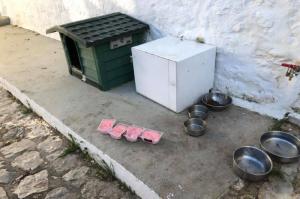 Υδραϊκή Κιβωτός:  Όχι στις ακατάλληλες τροφές για τάισμα των γατών του νησιού