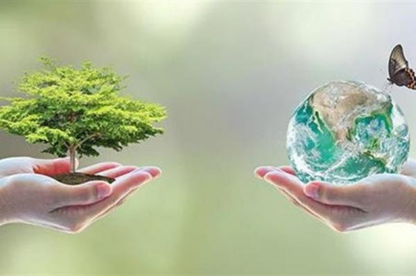 Επιστήμονες επισημαίνουν  την "κατάρρευση" της βιοποικιλότητας της Μεσογείου μέσα σε 30 χρόνια