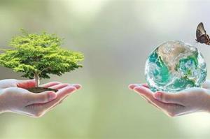 Επιστήμονες επισημαίνουν  την "κατάρρευση" της βιοποικιλότητας της Μεσογείου μέσα σε 30 χρόνια