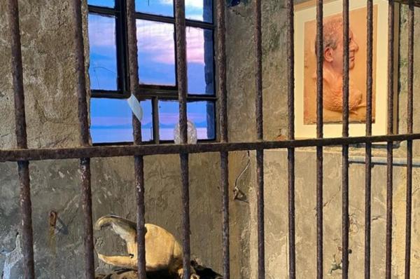 Οι συντελεστές  της έκθεσης ''Τhe Greek Gift'' του Ιδρύματος ΔΕΣΤΕ στα παλιά σφαγεία της Ύδρας - Ωράριο λειτουργίας