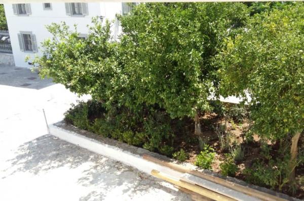 Καλλωπισμός στον μικρό δημοτικό χώρο - περιβολάκι απέναντι από την Πλατεία Βότση