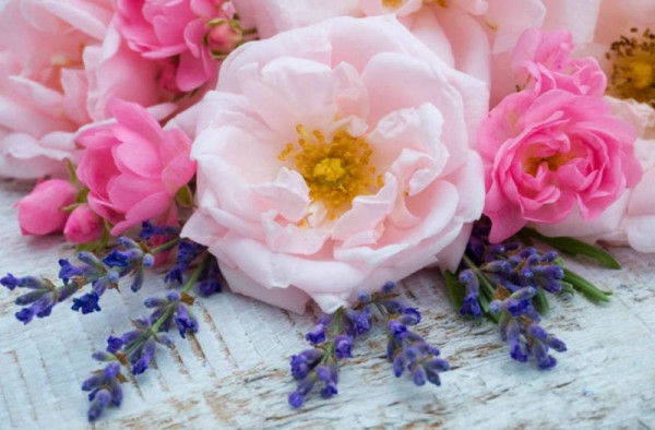 Γιορτή λουλουδιών στο Ανθοπωλείο «Κυκλάμινο»