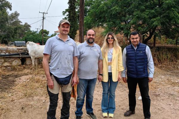 Ολοκληρώθηκε με επιτυχία το ετήσιο πρόγραμμα φροντίδας των ιπποειδών του Δήμου Ύδρας