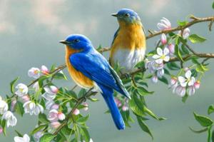 Αλλάζουν οι ώρες  κοινής ησυχίας (1 Απριλίου - 30 Σεπτεμβρίου)