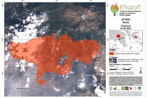 Κάηκαν 617.000 στρέμματα στην πυρκαγιά στον Έβρο και 50.000 στη Φυλή