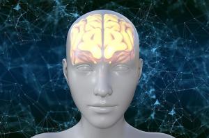 Ο ανθρώπινος εγκέφαλος αναπτύσσει θερμοκρασίες «καύσωνα» πάνω από τους 40 βαθμούς Κελσίου