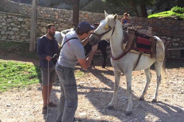 Φροντίδα ιπποειδών από την Animal Action στις 8,9 &amp; 10 Οκτωβρίου