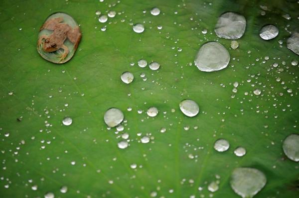 Reuters :  Οι καλύτερες φωτογραφίες του 2019 για το περιβάλλον δείχνουν τη μαγεία και την οδύνη του πλανήτη