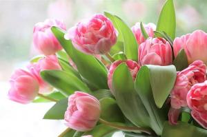 Μειώστε το άγχος με ένα μπουκέτο λουλούδια!