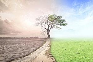 Σχεδόν το σύνολο του παγκόσμιου πληθυσμού επηρεάστηκε από την υπερθέρμανση του πλανήτη το καλοκαίρι