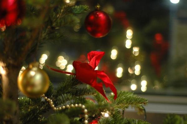 Χριστούγεννα με εορταστικές εκδηλώσεις από τον Δήμο Ύδρας - Πρόγραμμα