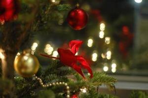 Χριστούγεννα με εορταστικές εκδηλώσεις από τον Δήμο Ύδρας - Πρόγραμμα