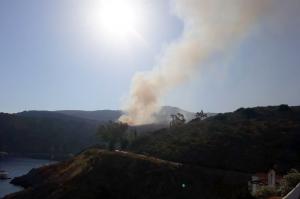 Φωτιά στο Μανδράκι - Δήλωση και Καταγγελία του Δημάρχου Ύδρας Γιώργου Κουκουδάκη - Ευχαριστήριο σε όσους συνέδραμαν