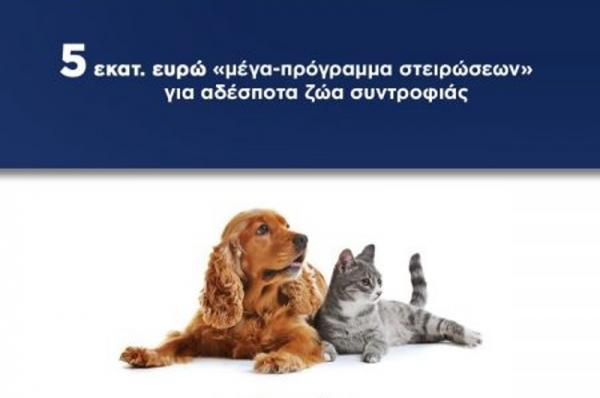 Στ. Πέτσας:  Μέγα-πρόγραμμα στειρώσεων για τα αδέσποτα ζώα συντροφιάς