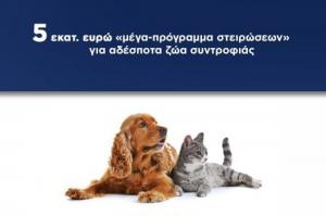 Στ. Πέτσας:  Μέγα-πρόγραμμα στειρώσεων για τα αδέσποτα ζώα συντροφιάς