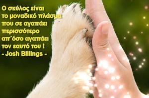 Ένα όμορφο βίντεο με κουβέντες διάσημων ανθρώπων για τους τετράποδους φίλους μας τους σκύλους