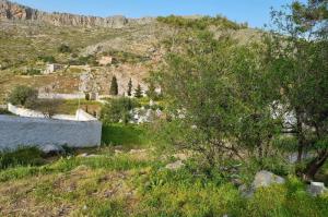 Ευχαριστήριο του Προέδρου του Εκκλησιαστικού Συμβουλίου του Καθεδρικού Ναού, Πρωτ. Ακ. Δαρδανού προς τον Αλέξη Βερούκα